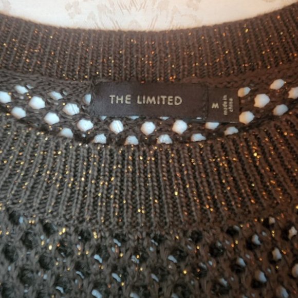 The Limited Knit Brown Sweater with Metallic Thread - Picture 13 of 15